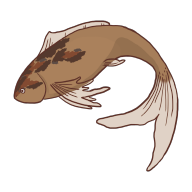 Patchyfish