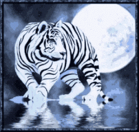 Moon-Tigress